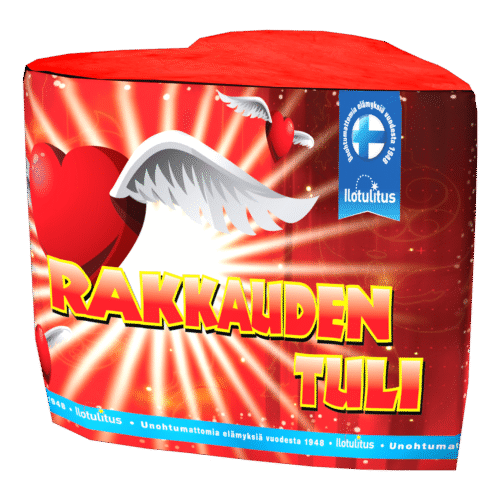 RAKKAUDEN TULI - Image 1