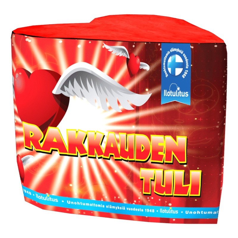 RAKKAUDEN TULI