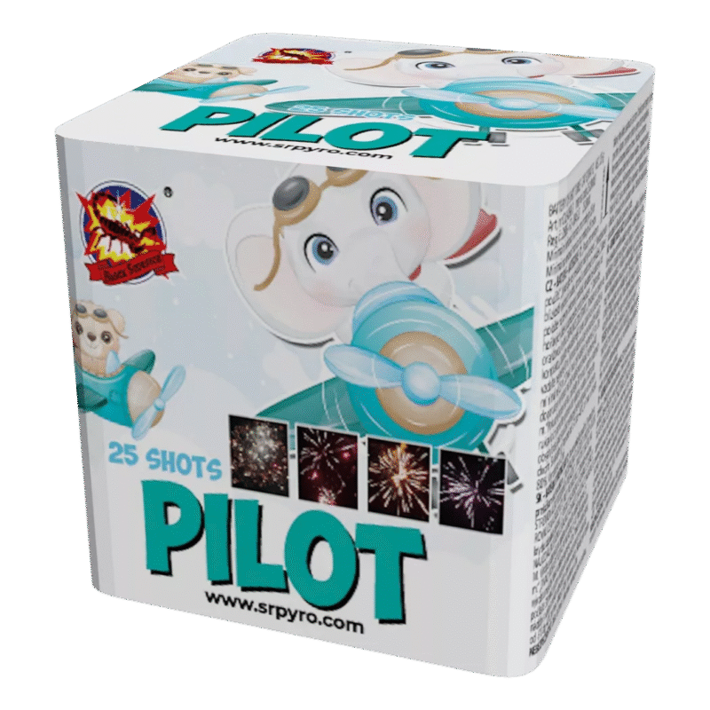 Pilot